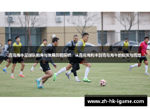青岛海牛足球队前身与发展历程探析：从青岛海利丰到青岛海牛的蜕变与辉煌